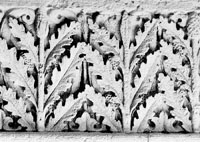 files/carvers/thumbs/Treefern-1.jpg