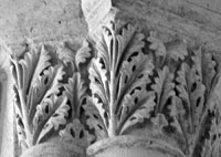 files/carvers/thumbs/Treefern-2.jpg