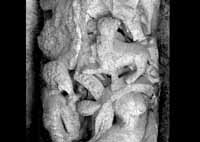 files/carvers/thumbs/Yannick-1.jpg