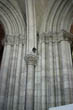 Church Photos